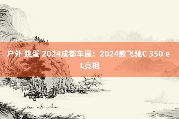 户外 跳蛋 2024成都车展：2024款飞驰C 350 e L亮相