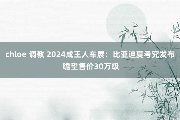 chloe 调教 2024成王人车展：比亚迪夏考究发布 瞻望售价30万级