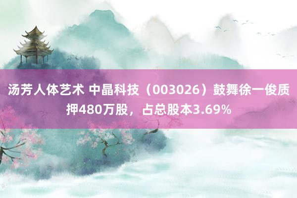 汤芳人体艺术 中晶科技（003026）鼓舞徐一俊质押480万股，占总股本3.69%