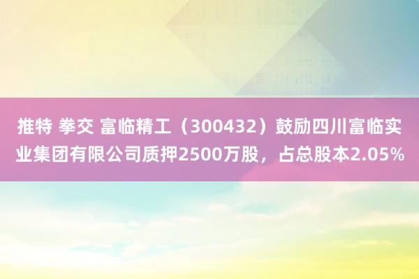 推特 拳交 富临精工（300432）鼓励四川富临实业集团有限公司质押2500万股，占总股本2.05%