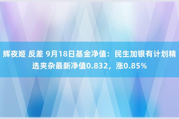 辉夜姬 反差 9月18日基金净值：民生加银有计划精选夹杂最新净值0.832，涨0.85%