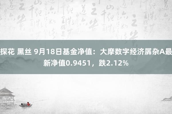 探花 黑丝 9月18日基金净值：大摩数字经济羼杂A最新净值0.9451，跌2.12%