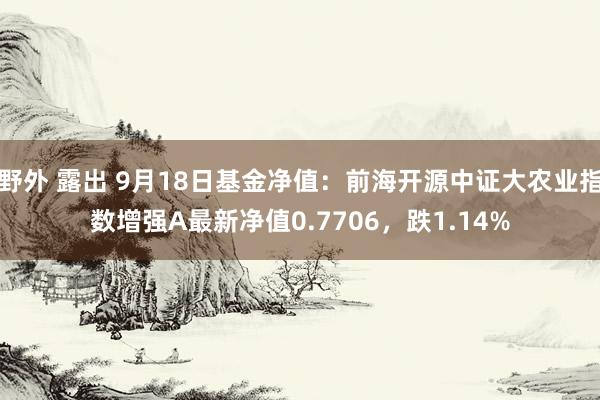 野外 露出 9月18日基金净值：前海开源中证大农业指数增强A最新净值0.7706，跌1.14%