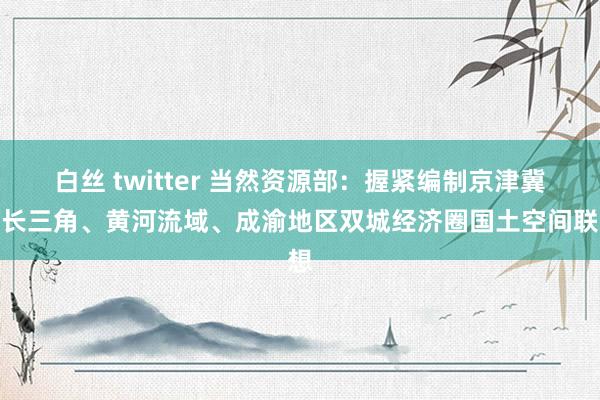 白丝 twitter 当然资源部：握紧编制京津冀、长三角、黄河流域、成渝地区双城经济圈国土空间联想