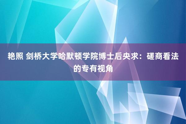 艳照 剑桥大学哈默顿学院博士后央求：磋商看法的专有视角