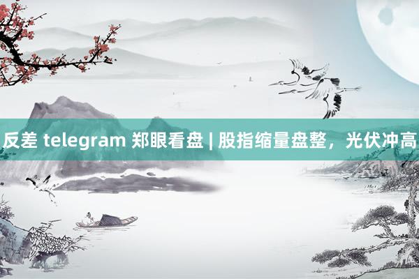 反差 telegram 郑眼看盘 | 股指缩量盘整，光伏冲高