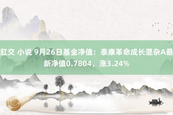 肛交 小说 9月26日基金净值：泰康革命成长混杂A最新净值0.7804，涨3.24%