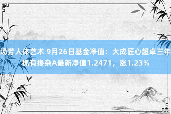 汤芳人体艺术 9月26日基金净值：大成匠心超卓三年抓有搀杂A最新净值1.2471，涨1.23%