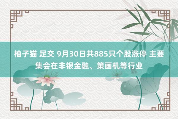 柚子猫 足交 9月30日共885只个股涨停 主要集会在非银金融、策画机等行业