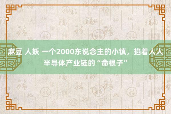 麻豆 人妖 一个2000东说念主的小镇，掐着人人半导体产业链的“命根子”