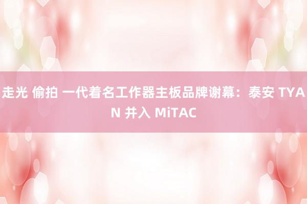 走光 偷拍 一代着名工作器主板品牌谢幕：泰安 TYAN 并入 MiTAC