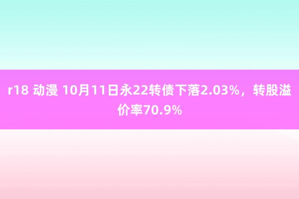 r18 动漫 10月11日永22转债下落2.03%，转股溢价率70.9%