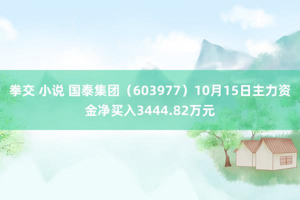 拳交 小说 国泰集团（603977）10月15日主力资金净买入3444.82万元