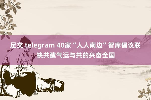 足交 telegram 40家“人人南边”智库倡议联袂共建气运与共的兴奋全国