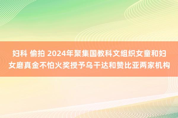 妇科 偷拍 2024年聚集国教科文组织女童和妇女磨真金不怕火奖授予乌干达和赞比亚两家机构