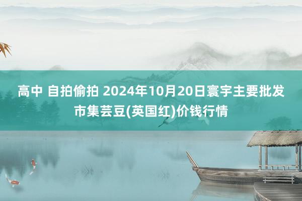 高中 自拍偷拍 2024年10月20日寰宇主要批发市集芸豆(英国红)价钱行情