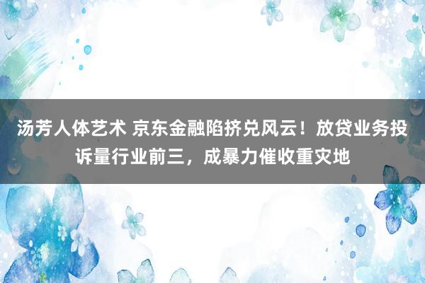 汤芳人体艺术 京东金融陷挤兑风云！放贷业务投诉量行业前三，成暴力催收重灾地