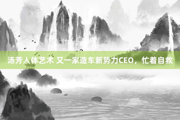 汤芳人体艺术 又一家造车新势力CEO，忙着自救