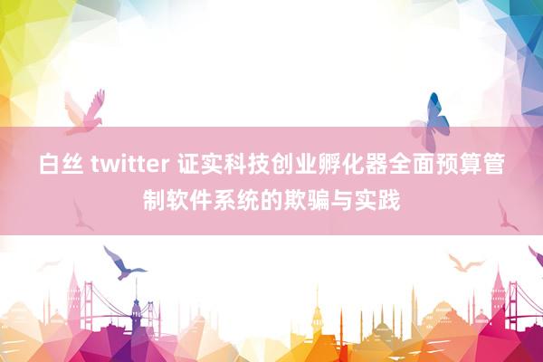 白丝 twitter 证实科技创业孵化器全面预算管制软件系统的欺骗与实践