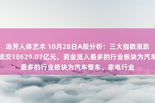 汤芳人体艺术 10月28日A股分析：三大指数涨跌不一，两市整个成交18629.07亿元，资金流入最多的行业板块为汽车整车、家电行业