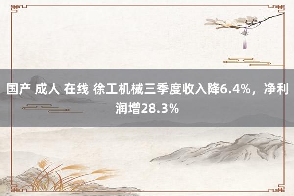 国产 成人 在线 徐工机械三季度收入降6.4%，净利润增28.3%