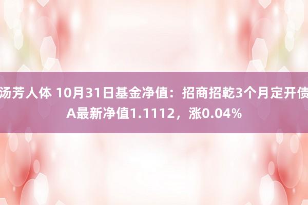 汤芳人体 10月31日基金净值：招商招乾3个月定开债A最新净值1.1112，涨0.04%