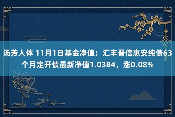 汤芳人体 11月1日基金净值：汇丰晋信惠安纯债63个月定开债最新净值1.0384，涨0.08%