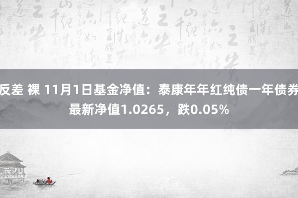 反差 裸 11月1日基金净值：泰康年年红纯债一年债券最新净值1.0265，跌0.05%