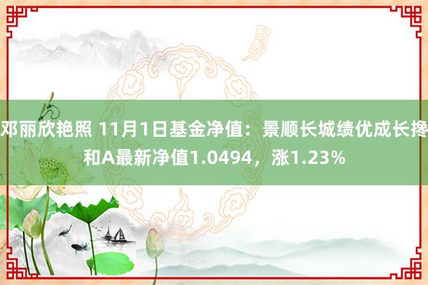 邓丽欣艳照 11月1日基金净值：景顺长城绩优成长搀和A最新净值1.0494，涨1.23%