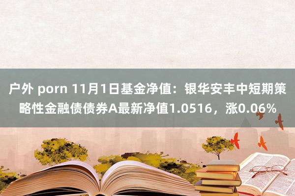 户外 porn 11月1日基金净值：银华安丰中短期策略性金融债债券A最新净值1.0516，涨0.06%