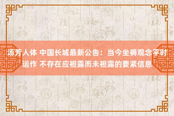 汤芳人体 中国长城最新公告：当今坐褥观念平时运作 不存在应袒露而未袒露的要紧信息