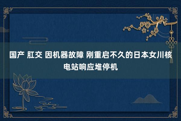 国产 肛交 因机器故障 刚重启不久的日本女川核电站响应堆停机