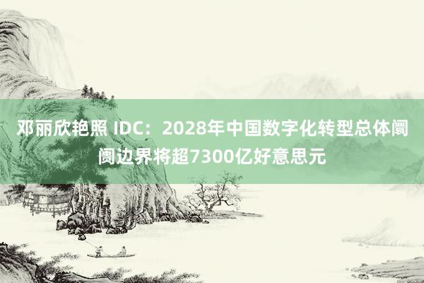 邓丽欣艳照 IDC：2028年中国数字化转型总体阛阓边界将超7300亿好意思元