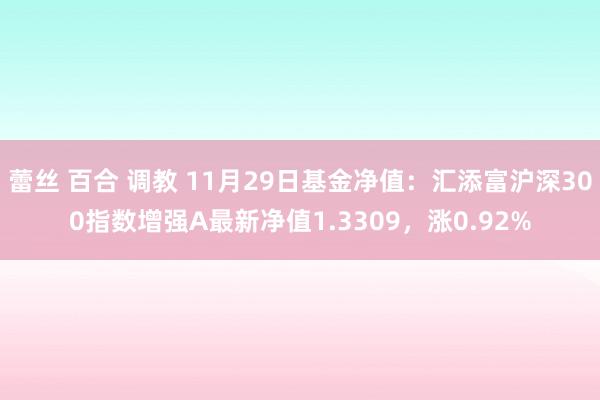 蕾丝 百合 调教 11月29日基金净值：汇添富沪深300指数增强A最新净值1.3309，涨0.92%