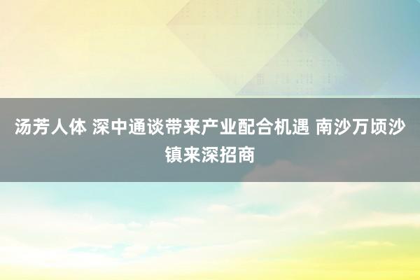 汤芳人体 深中通谈带来产业配合机遇 南沙万顷沙镇来深招商