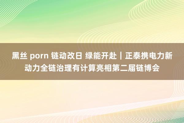 黑丝 porn 链动改日 绿能开赴｜正泰携电力新动力全链治理有计算亮相第二届链博会