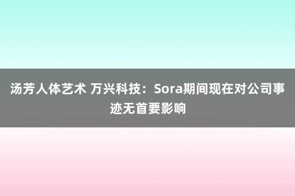 汤芳人体艺术 万兴科技：Sora期间现在对公司事迹无首要影响