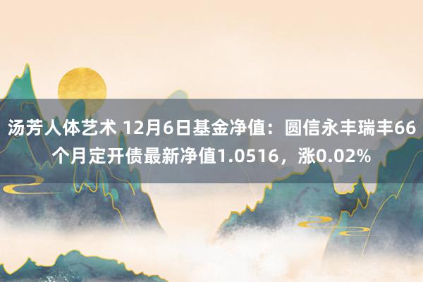 汤芳人体艺术 12月6日基金净值：圆信永丰瑞丰66个月定开债最新净值1.0516，涨0.02%