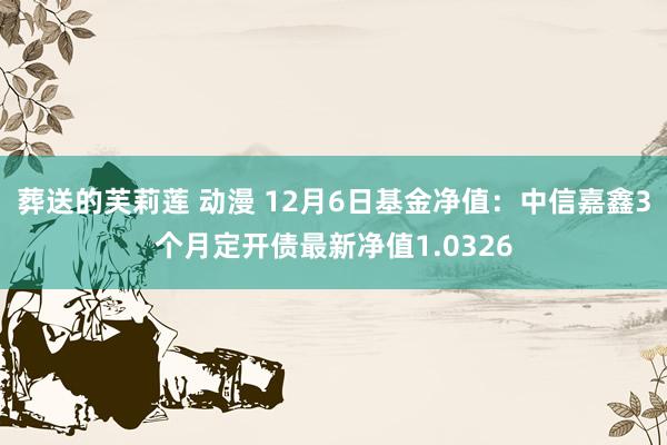 葬送的芙莉莲 动漫 12月6日基金净值：中信嘉鑫3个月定开债最新净值1.0326