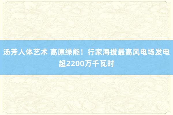 汤芳人体艺术 高原绿能！行家海拔最高风电场发电超2200万千瓦时