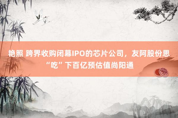 艳照 跨界收购闭幕IPO的芯片公司，友阿股份思“吃”下百亿预估值尚阳通