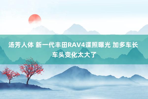 汤芳人体 新一代丰田RAV4谍照曝光 加多车长 车头变化太大了