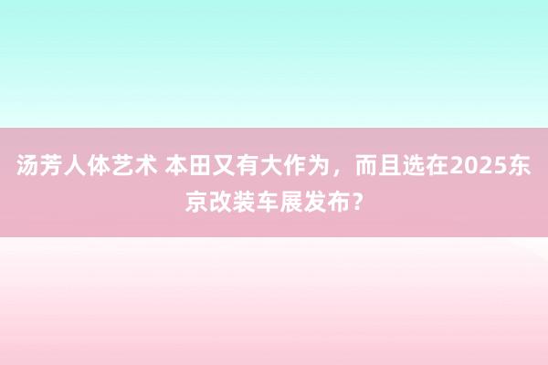 汤芳人体艺术 本田又有大作为，而且选在2025东京改装车展发布？