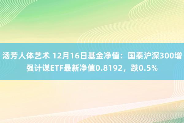 汤芳人体艺术 12月16日基金净值：国泰沪深300增强计谋ETF最新净值0.8192，跌0.5%