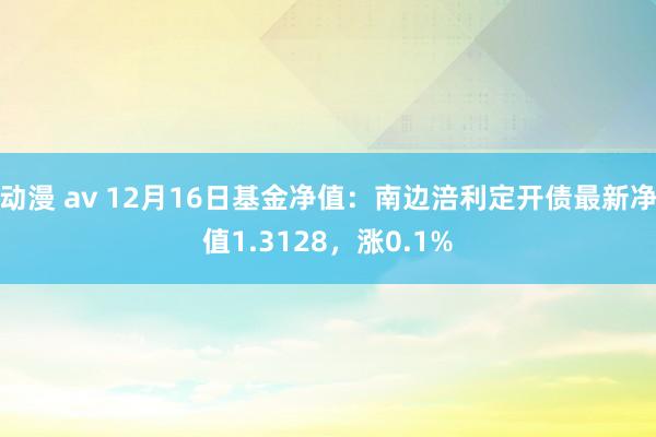 动漫 av 12月16日基金净值：南边涪利定开债最新净值1.3128，涨0.1%