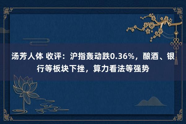 汤芳人体 收评：沪指轰动跌0.36%，酿酒、银行等板块下挫，算力看法等强势