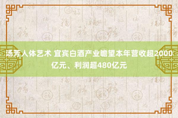 汤芳人体艺术 宜宾白酒产业瞻望本年营收超2000亿元、利润超480亿元