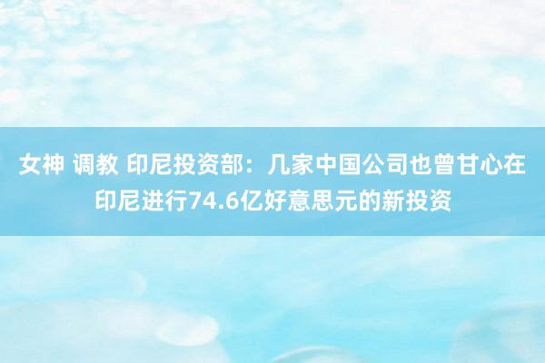 女神 调教 印尼投资部：几家中国公司也曾甘心在印尼进行74.6亿好意思元的新投资