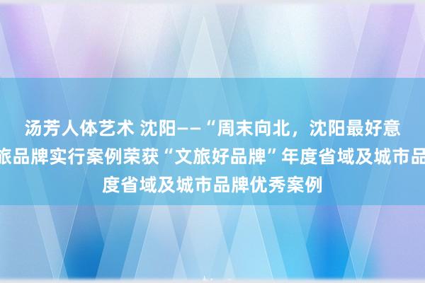 汤芳人体艺术 沈阳——“周末向北，沈阳最好意思”城市文旅品牌实行案例荣获“文旅好品牌”年度省域及城市品牌优秀案例