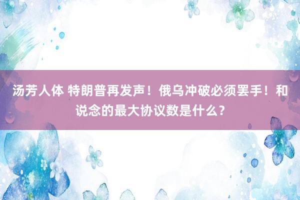 汤芳人体 特朗普再发声！俄乌冲破必须罢手！和说念的最大协议数是什么？